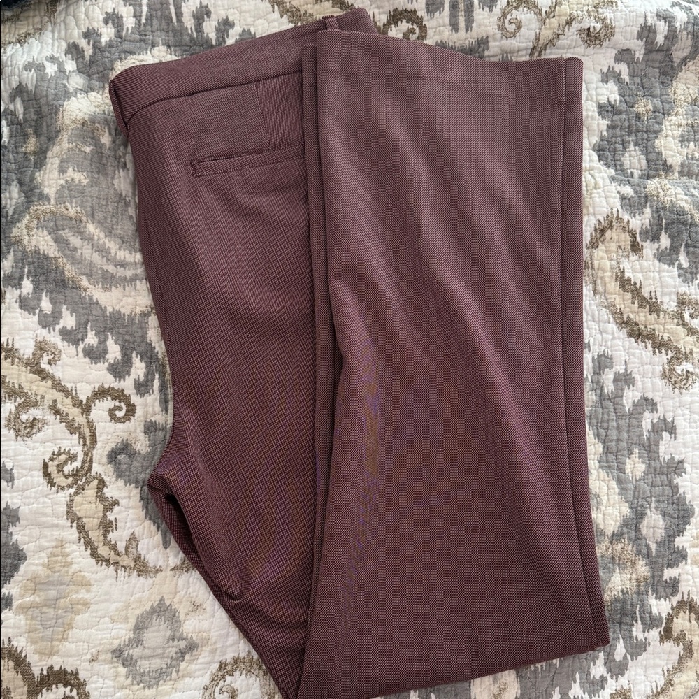 Express Columnist Barley Boot Pants